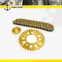 Chain & Sprocket Set ANCHOR Gold